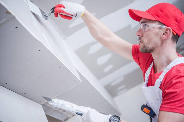  Peosta, IA Drywall and Painting Service Pros